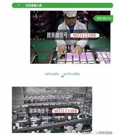 揭秘“香港組裝蘋(píng)果手機(jī)”代理背后的暴利與風(fēng)險(xiǎn) 科技廣告下的真相